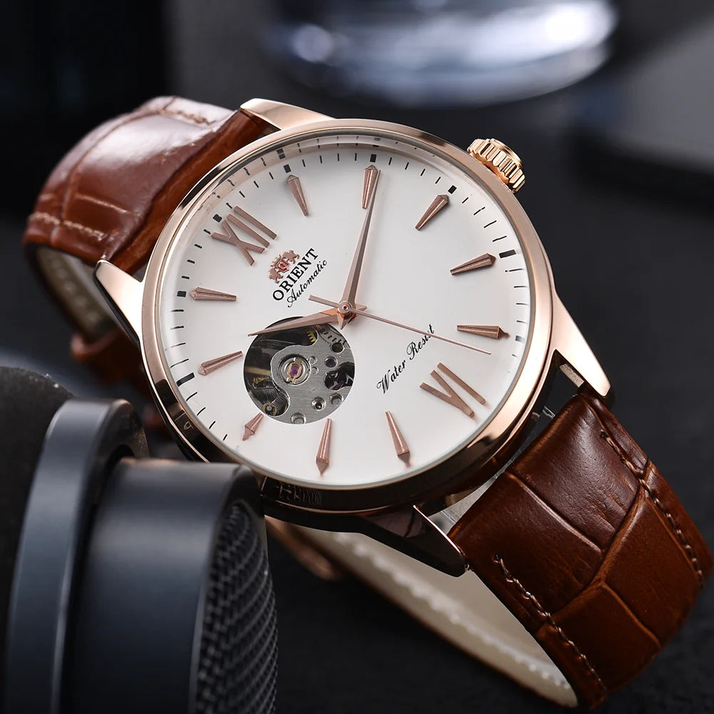 Men's Automatic Mechanical Watch – Luxury Stainless Steel Self-Winding Wristwatch | 17 Style Options